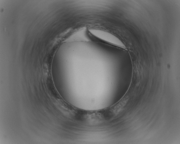 X0000077380752200611101729