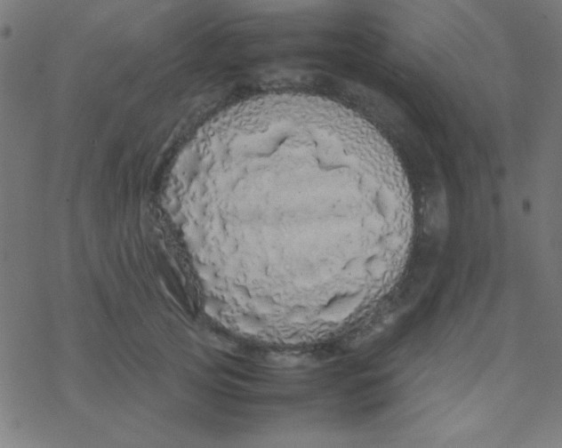 X0000077380753200611101729