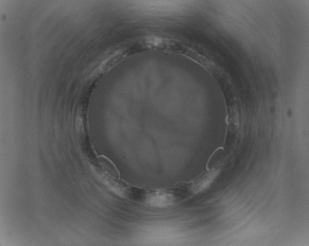 X0000077380754200611101729