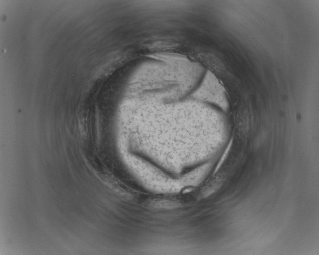 X0000077380755200611101729