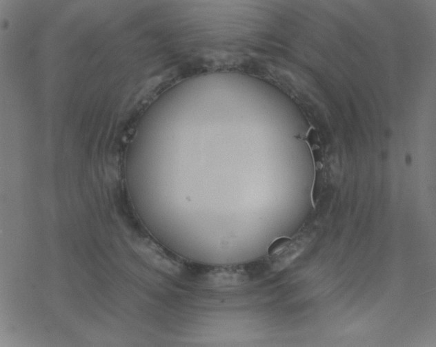 X0000077380756200611101729