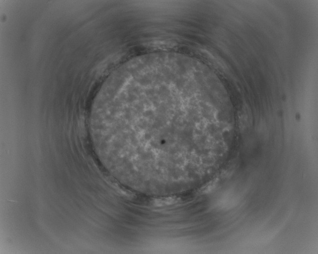 X0000077380757200611101729