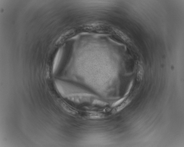 X0000077380758200611101729