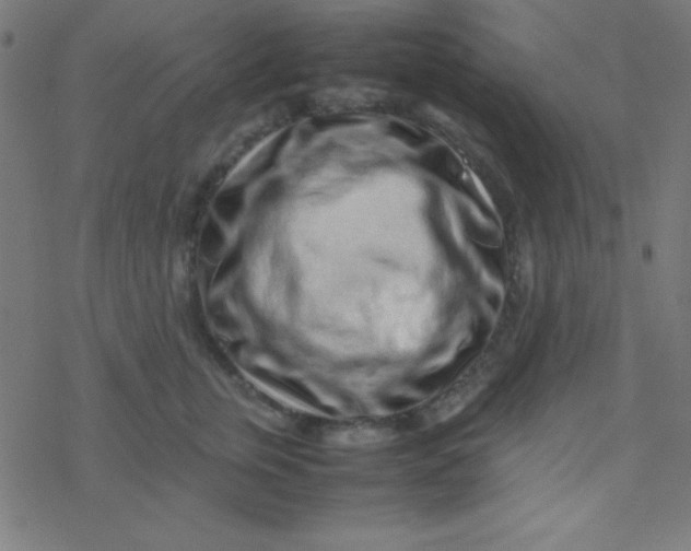 X0000077380759200611101729