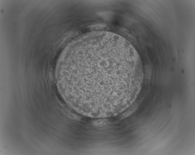 X0000077380761200611101729