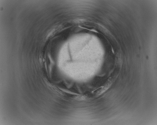 X0000077380762200611101729