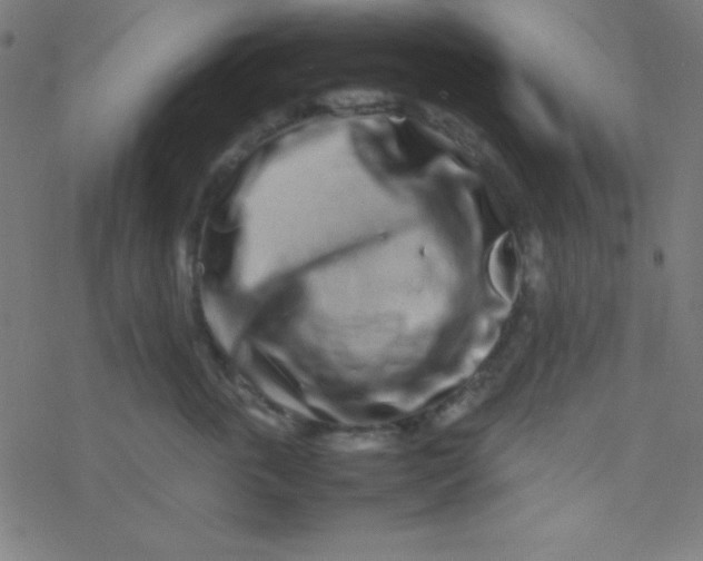 X0000077380763200611101729