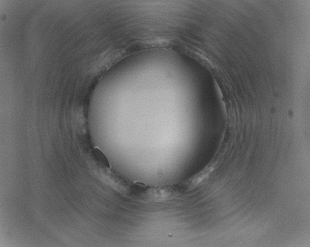 X0000077380764200611101729