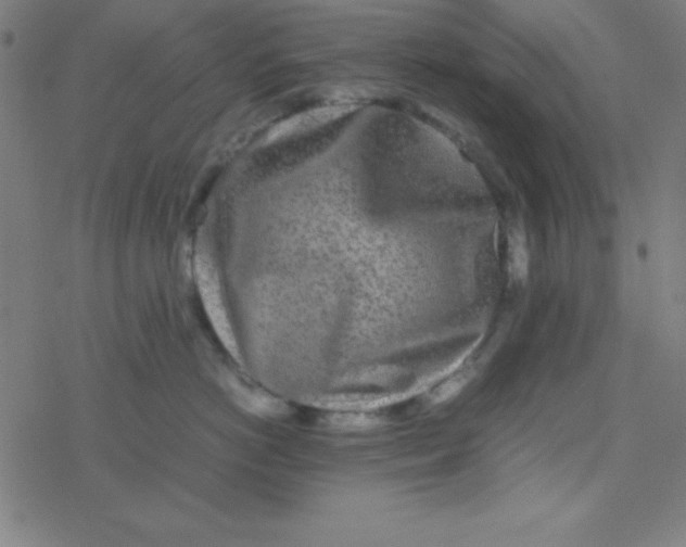 X0000077380766200611101729