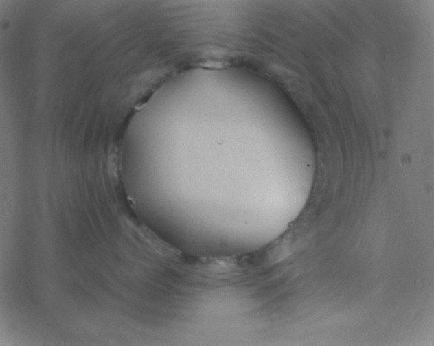 X0000077380768200611101729