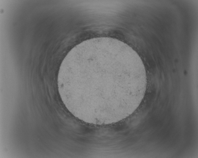 X0000077380769200611101728