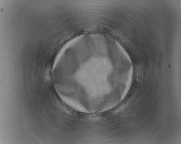 X0000077380770200611101728