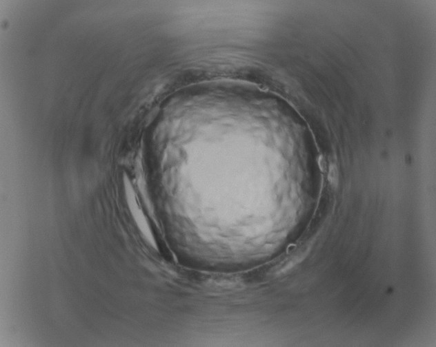 X0000077380771200611101728