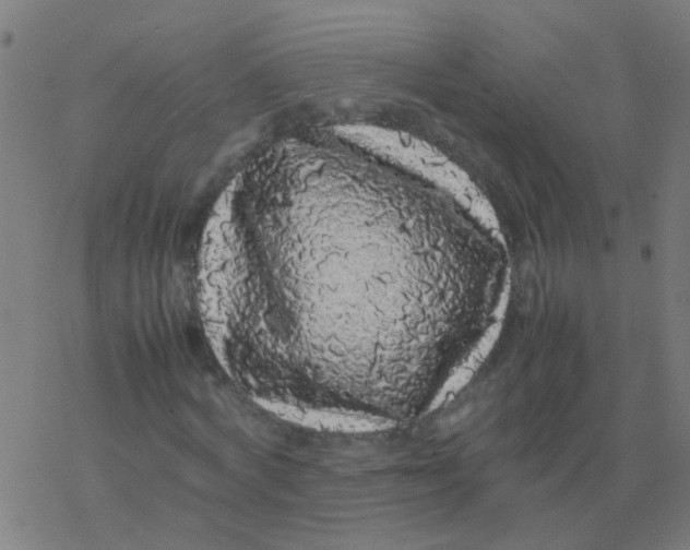 X0000077380772200611101728