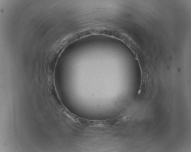 X0000077380773200611101728