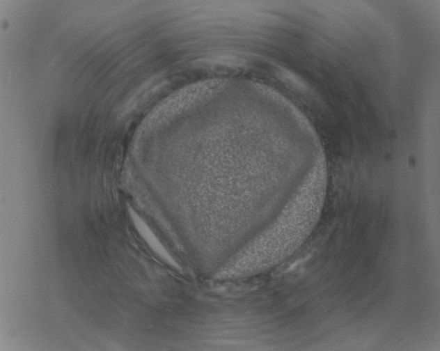 X0000077380774200611101728