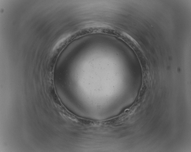 X0000077380775200611101728