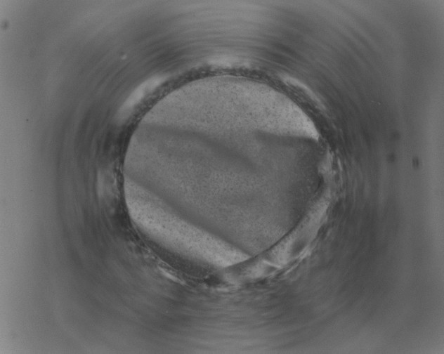 X0000077380776200611101728