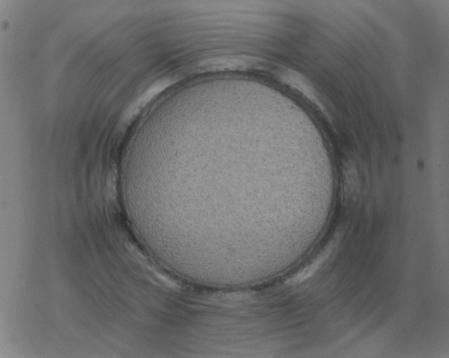 X0000077380778200611101728