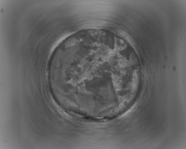 X0000077380779200611101728