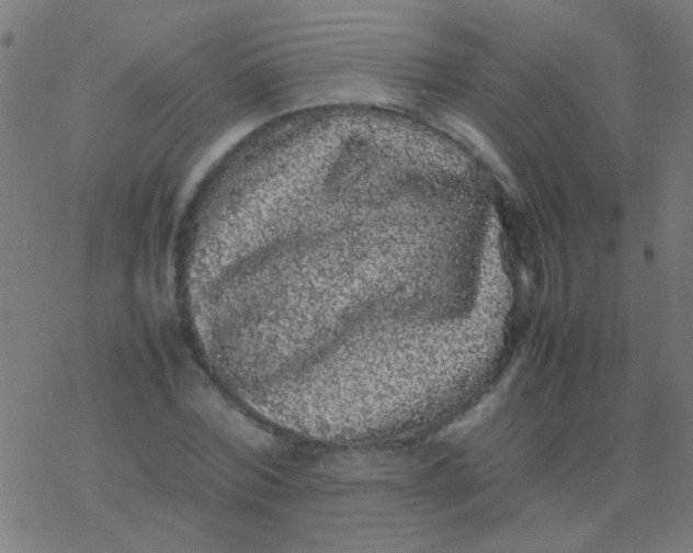 X0000077380780200611101728