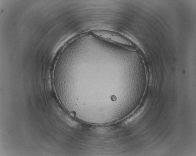 X0000077380782200611101728