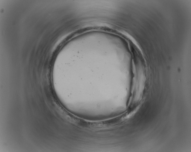 X0000077380783200611101728