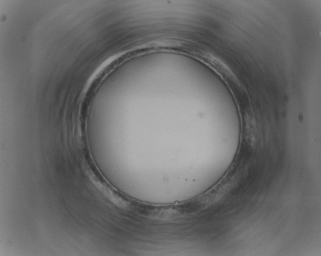 X0000077380784200611101728