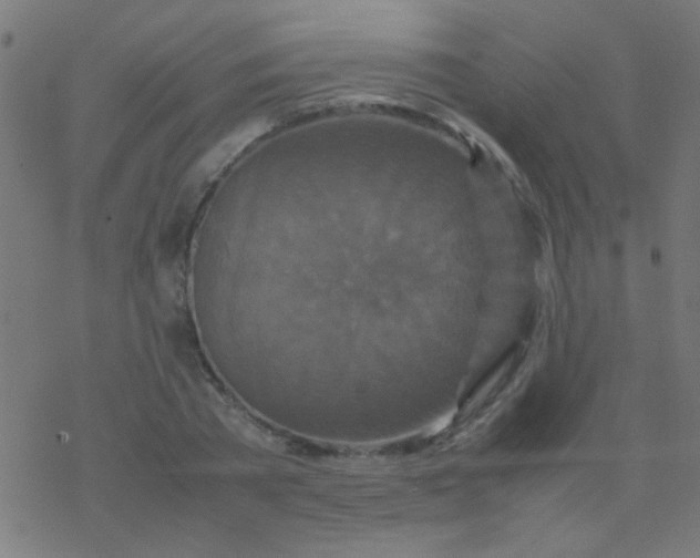 X0000077380785200611101728