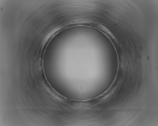 X0000077380786200611101728