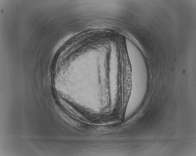 X0000077380787200611101728