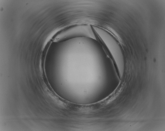 X0000077380788200611101728