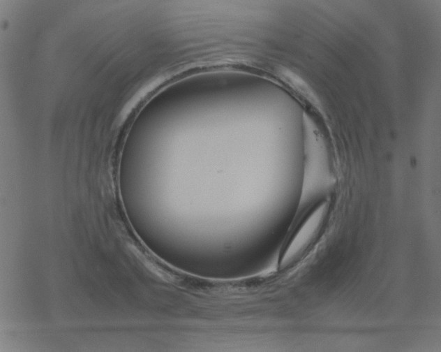 X0000077380789200611101728