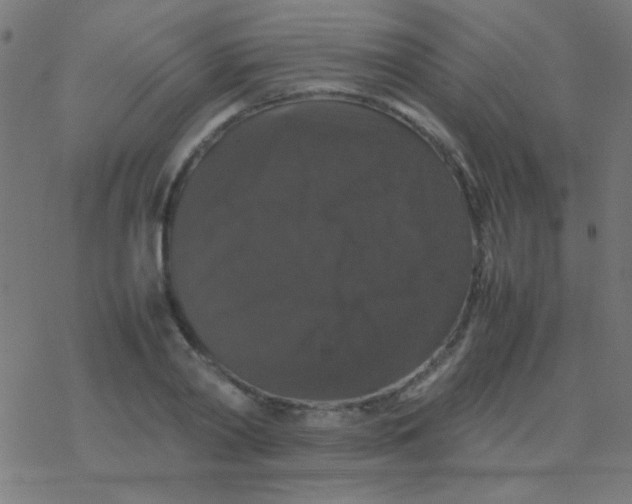 X0000077380790200611101728