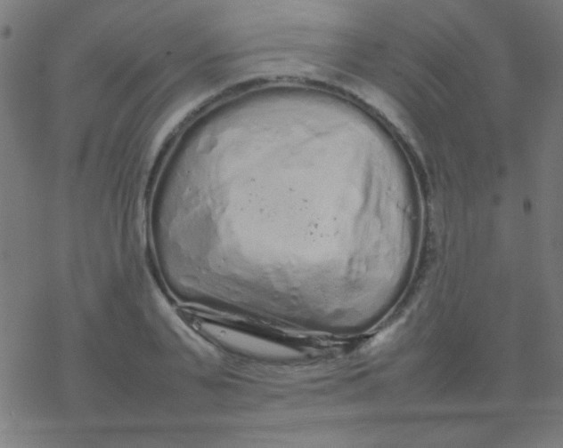 X0000077380791200611101728