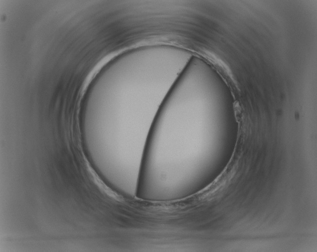 X0000077380792200611101728