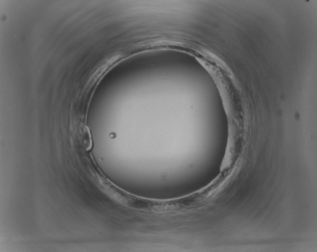 X0000077380793200611101728