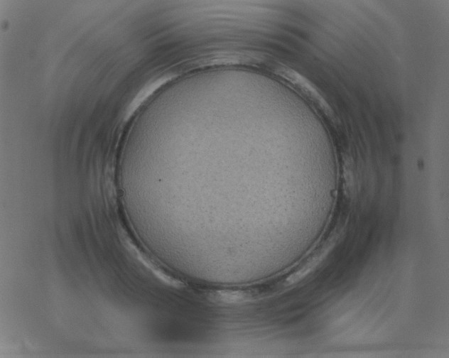 X0000077380794200611101728