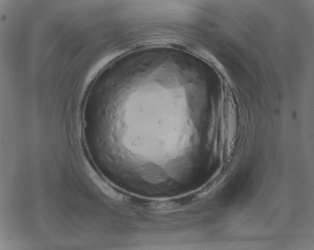 X0000077380795200611101728