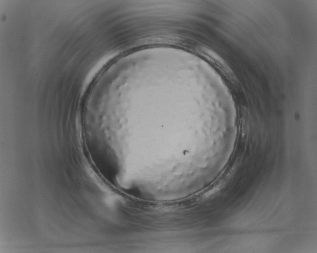 X0000077380796200611101728