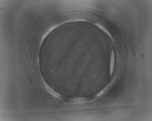 X0000077380797200611101728