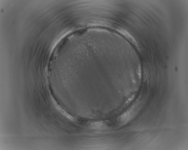 X0000077380798200611101728