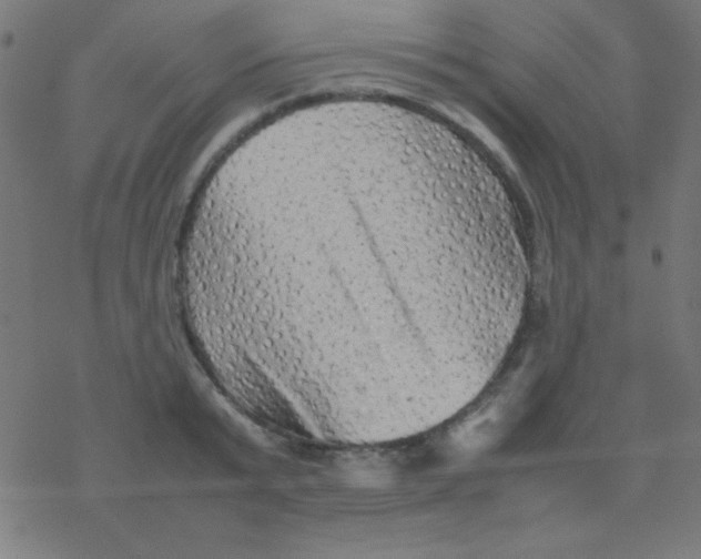 X0000077380799200611101728