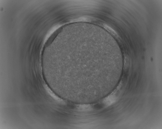 X0000077380800200611101728