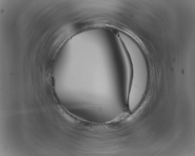 X0000077380801200611101728