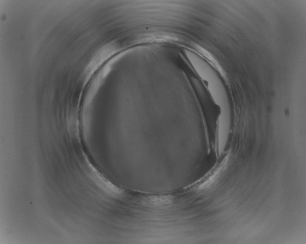 X0000077380802200611101728