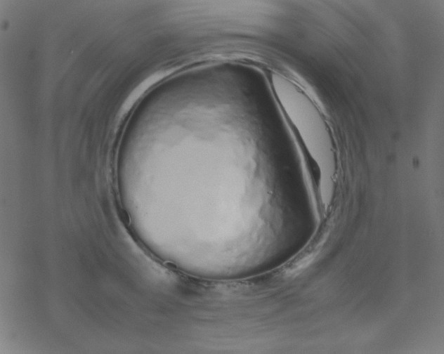 X0000077380803200611101728