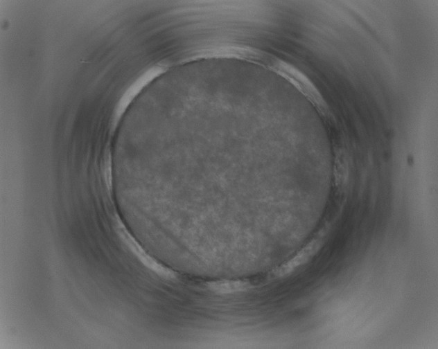 X0000077380804200611101728