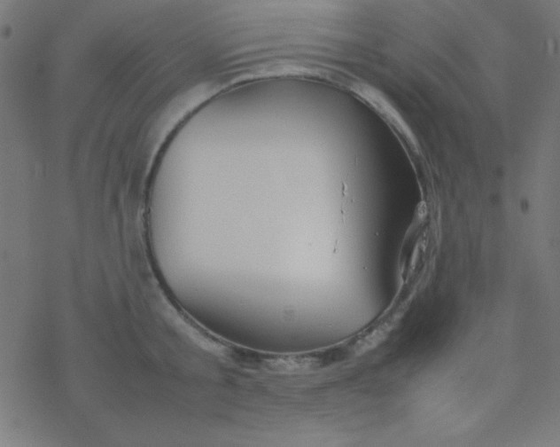 X0000077380805200611101728