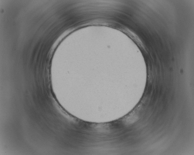 X0000077380808200611101728